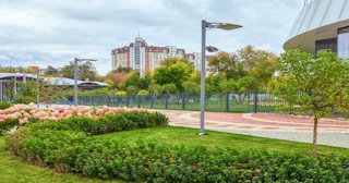 Профессиональное озеленение улиц в Тайшете в октябре