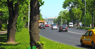 Посадка деревьев и кустарников в Тайшете — стоимость от 1246 руб.